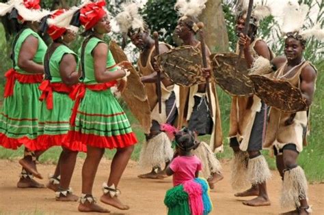  The Storyteller's Dance! Unveiling South African Folklore Through Narrative Rhythms